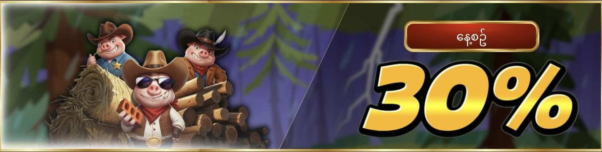 https://shweyone666.com/